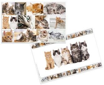 Podkładka na biurko Koty, Herma