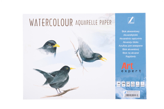 Blok do akwareli A4 10k 300g Art. Expert,  Kreska