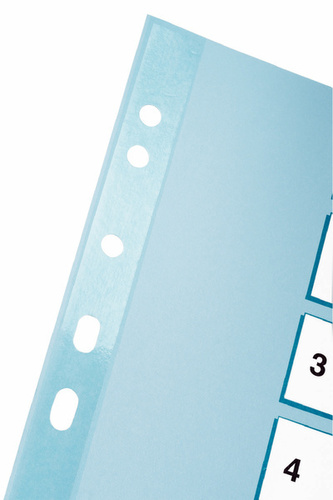 Przekładki A4 1-5 kol.Mylar, Esselte