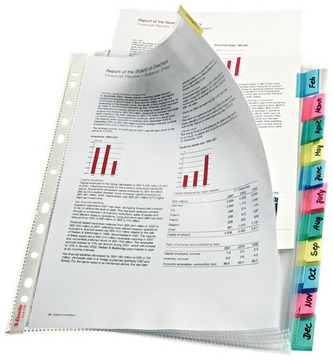 Koszulka A4 z wymiennym ind.12-szt, Esselte