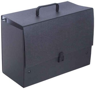 Teczka z rączką Jumbo Plus czar.Tadeo