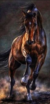 Diamantové malování Kůň v bouři 30 x 40 cm