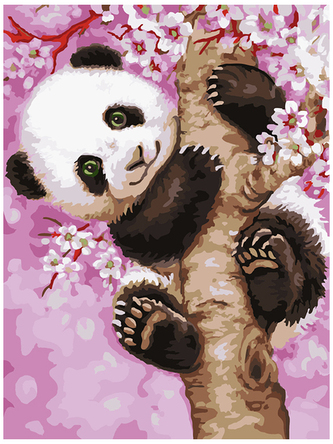 Numeromalowanie Classic 30x40 Słodka Panda, iPicasso