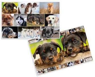 Podkładka na biurko Psy, Herma