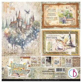 Blok papierów do scrapbookingu 20x20cm 12ark. Wizard Academy, Stamperia