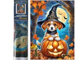 Diamantové malování Pes a dýně 30 x 40 cm