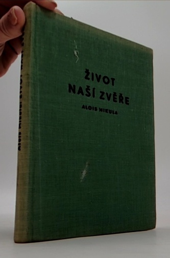 Mládí na křídlech