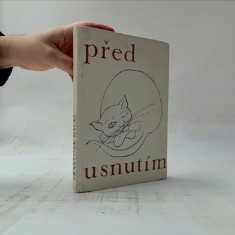 Před usnutím