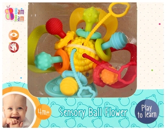 Kula sensoryczna. Kwiat