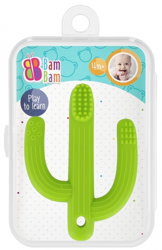 Gryzak szczoteczka w etui. Kaktus