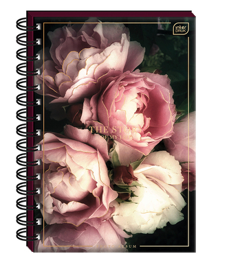 Album na zdjęcia. B5 25 Roses.