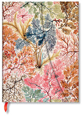 Notes William Kilburn, Anemone Ultra w linię, Paperblanks