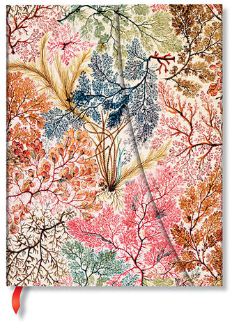 Notes William Kilburn, Anemone Ultra w linię, Paperblanks