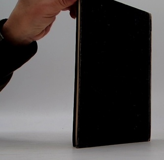 Jako obhájce: Perry Mason