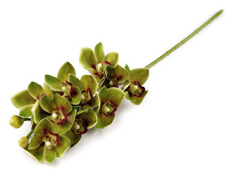 Umělá orchidej dlouhá - 1 ks - 2 zelená sv.