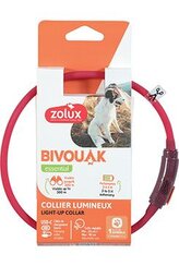 Obojek LED malý BIVOUAK 20-40cm USB červená Zolux