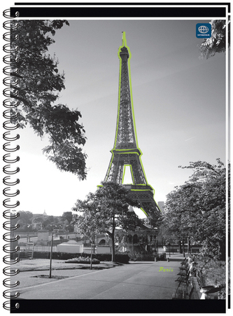 Kołonotes A4 100 k. kratka oprawa miękka, Interdruk