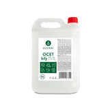 iPlody Ocet bílý 15 % na úklid extra účinný - kanystr 5 l