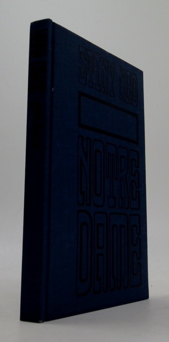 Stíny nad Notre Dame