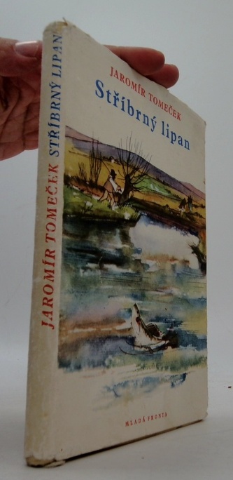 Stříbrný lipan