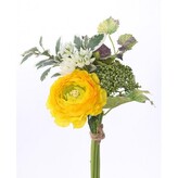 Ranunculus svazek  110-0065