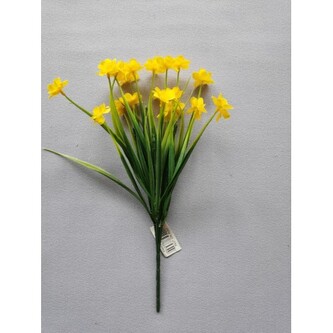 Narcis drobný květ, Barva žlutá  J154