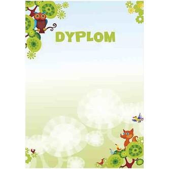 Dyplom A4 Bajka 170g op. 25 ark., Galeria Papieru