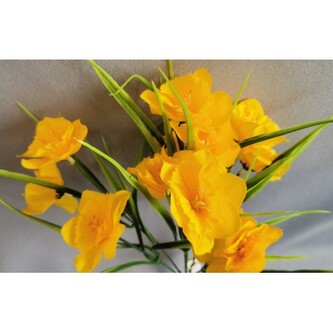 Narcis kytička, 3 barvy, Barva tm. žlutá  J152