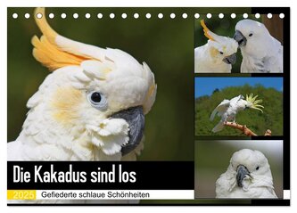 Die Kakadus sind los (Tischkalender 2025 DIN A5 quer), CALVENDO Monatskalender