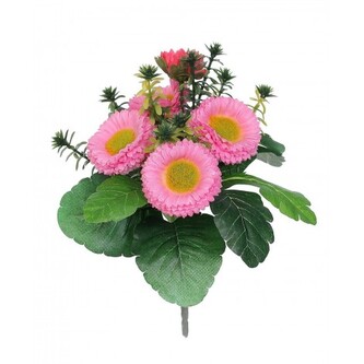 Bellis  110-0037/PK