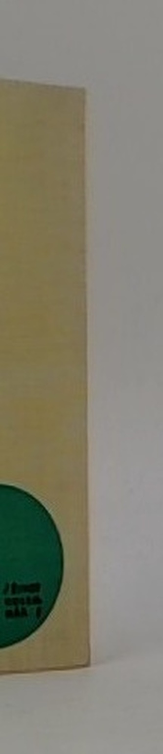 Bílé břízy na podzim