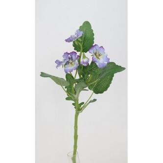 Maceška modrá  100-0151