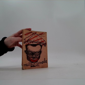 Dobrodružná cesta maleho černocha