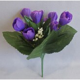 Krokus, tm. fialová  KW26 tm. fialová