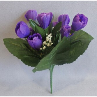 Krokus, tm. fialová  KW26 tm. fialová