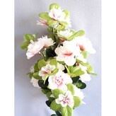 Azalka keřík bílá  J232 bílá