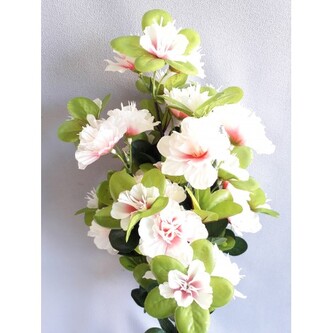 Azalka keřík bílá  J232 bílá