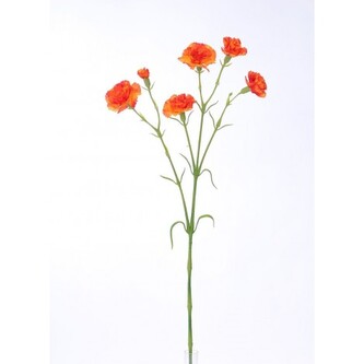 Karafiát mini  100-0146/OR