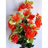 Azalka keřík červená  J232 červená
