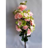 Azalka keřík sv. růžová  J232 sv. růžová