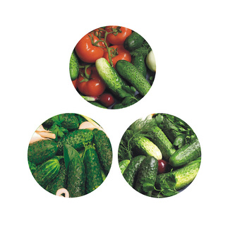 SADA 10 VÍČEK FI 82 6 S OKURKOVÝM DEKOREM