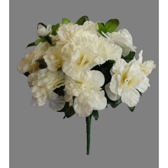 Azalka, krémová  J054 - krémová