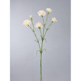 Karafiát mini  100-0146/CR