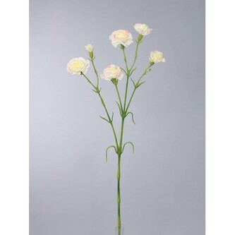 Karafiát mini  100-0146/CR