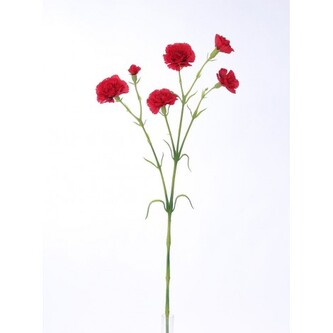 Karafiát mini  100-0146/RD