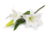 Umělá větvička lilie - 1 ks - bílá