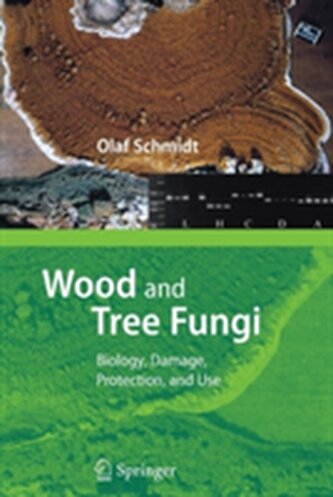 Wood and Tree Fungi Wood and Tree Fungi