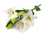 Umělá kytice lilie - 1 ks - 1 bílá