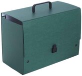 Teczka z rączką Jumbo Plus ziel.Tadeo