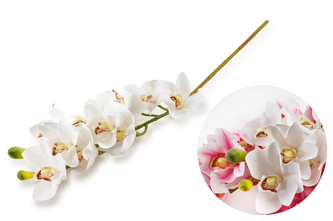 VIRIDIS Kwiat sztuczny storczyk 74cm